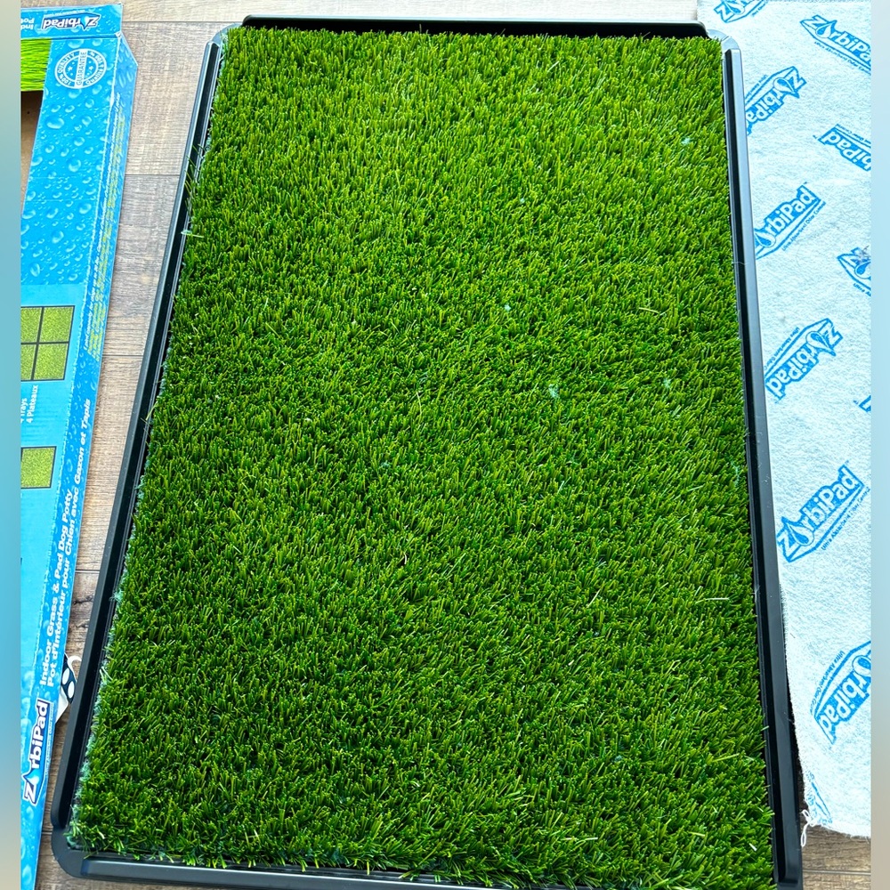 Indoor grass